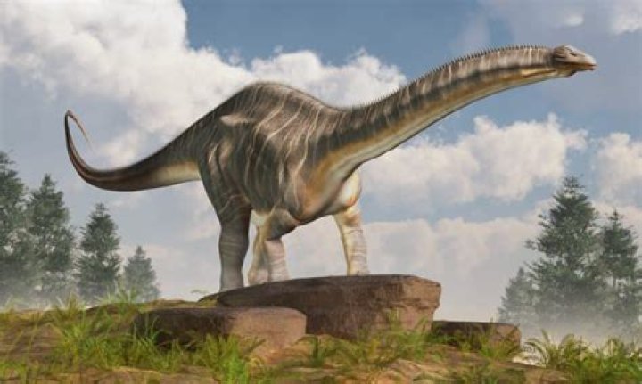 Where did the apatosaurus dinosaur live?