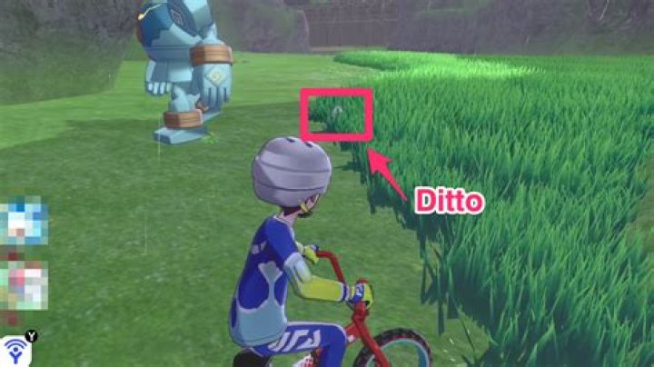 Where ditto sword and shield?