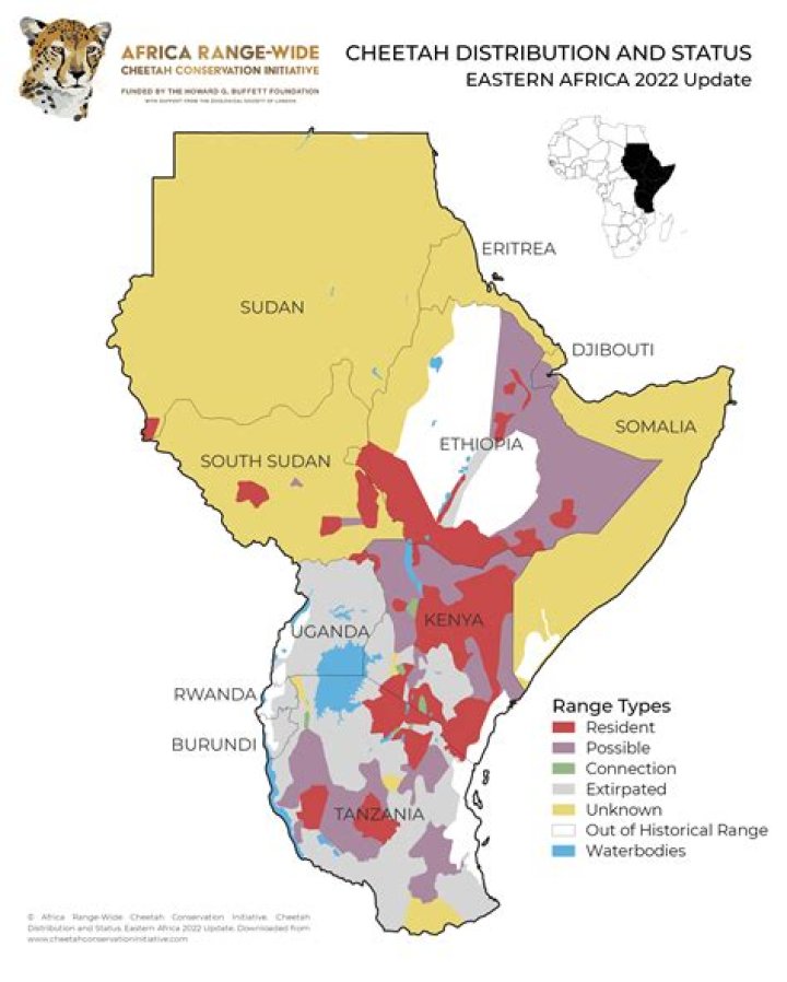 Where do cheetahs live in africa?