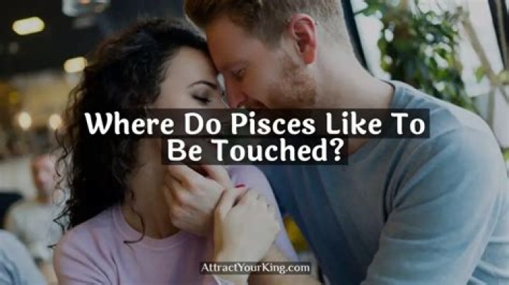 Where do pisces like to be touched?