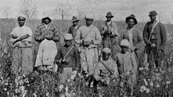 Where does sharecropper come from?