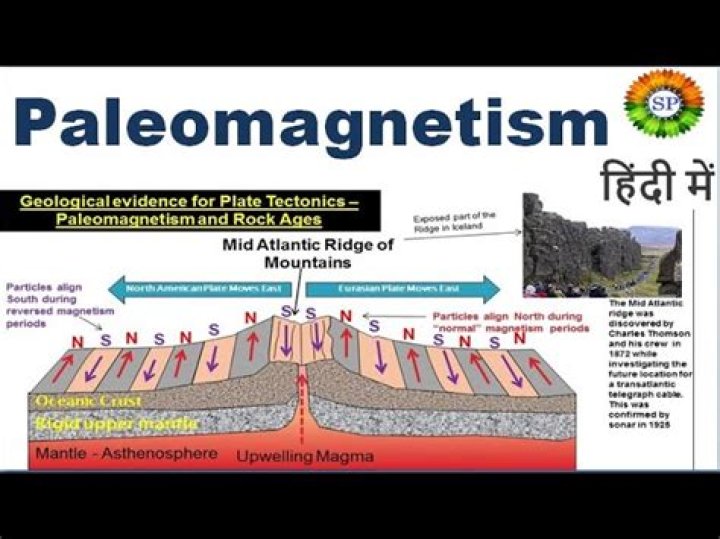 Where does the word paleomagnetism come from?