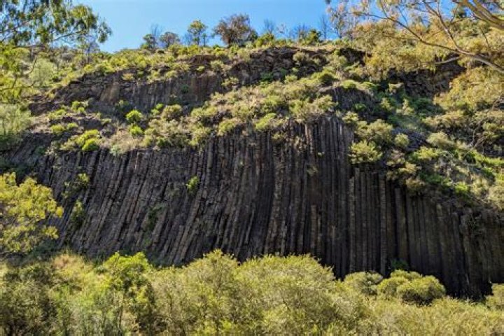 Where is organ pipe national park?
