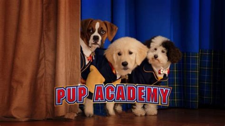 Where is pup academy season 2?
