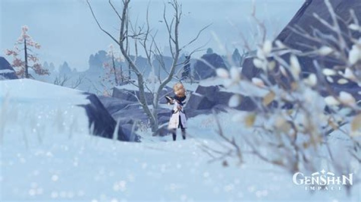 Where is the snow covered path genshin?