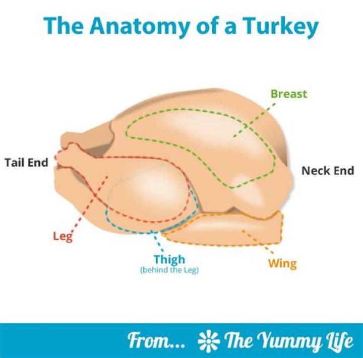 Where is the thickest part of the turkey breast?