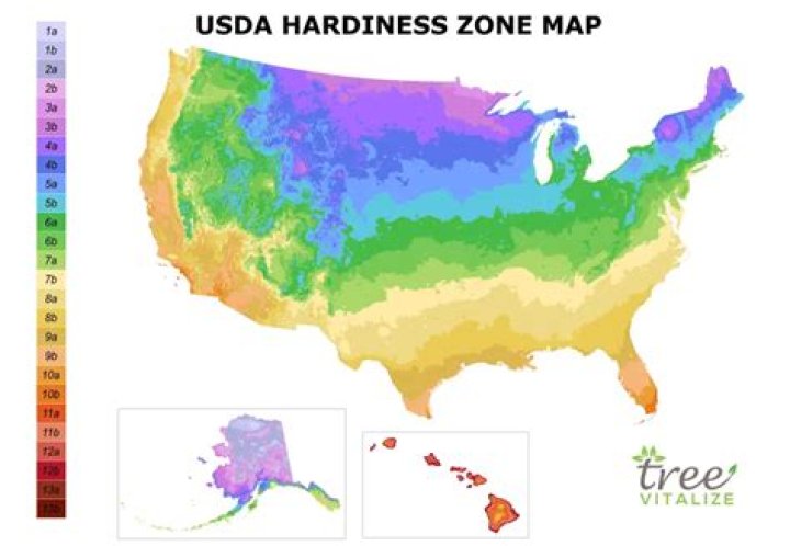 Where is zone 8 located?
