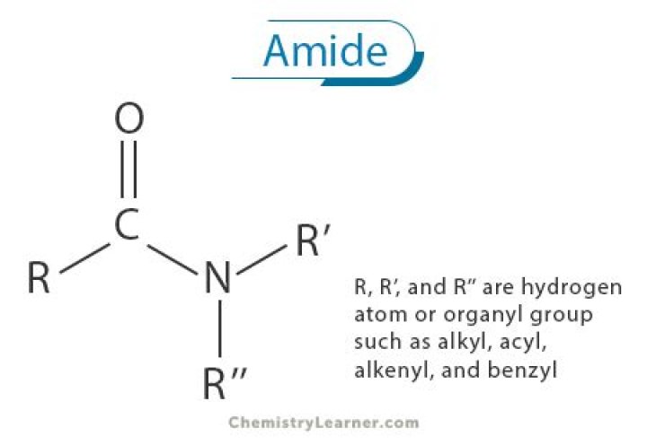 Where to find amides?