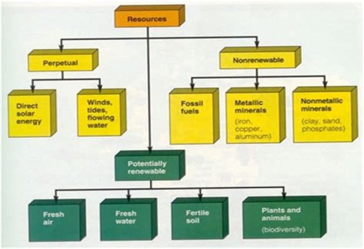 Which are perpetual resources?