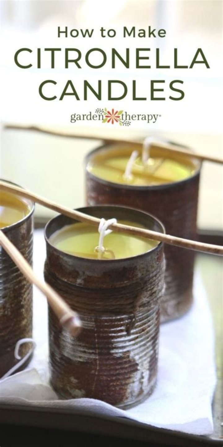 Which citronella candles work best?