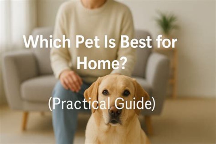 Which dog is best for home?