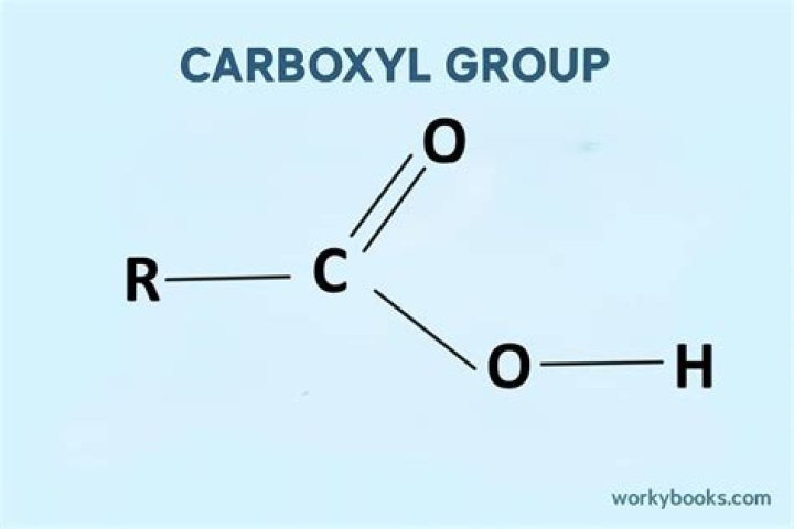 Which is a carboxyl group?