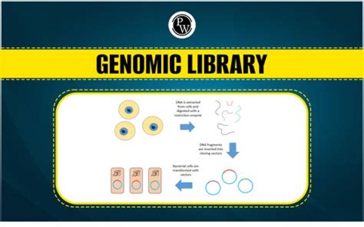 Which is genomic library?