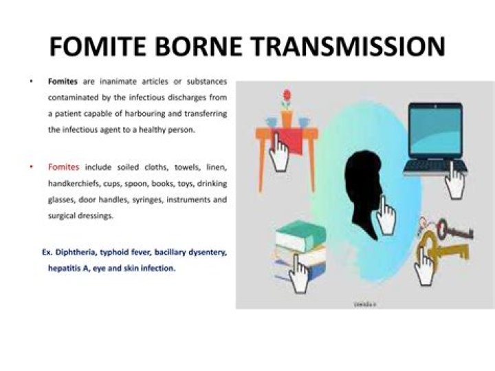 Which of the following is the definition of a fomite?