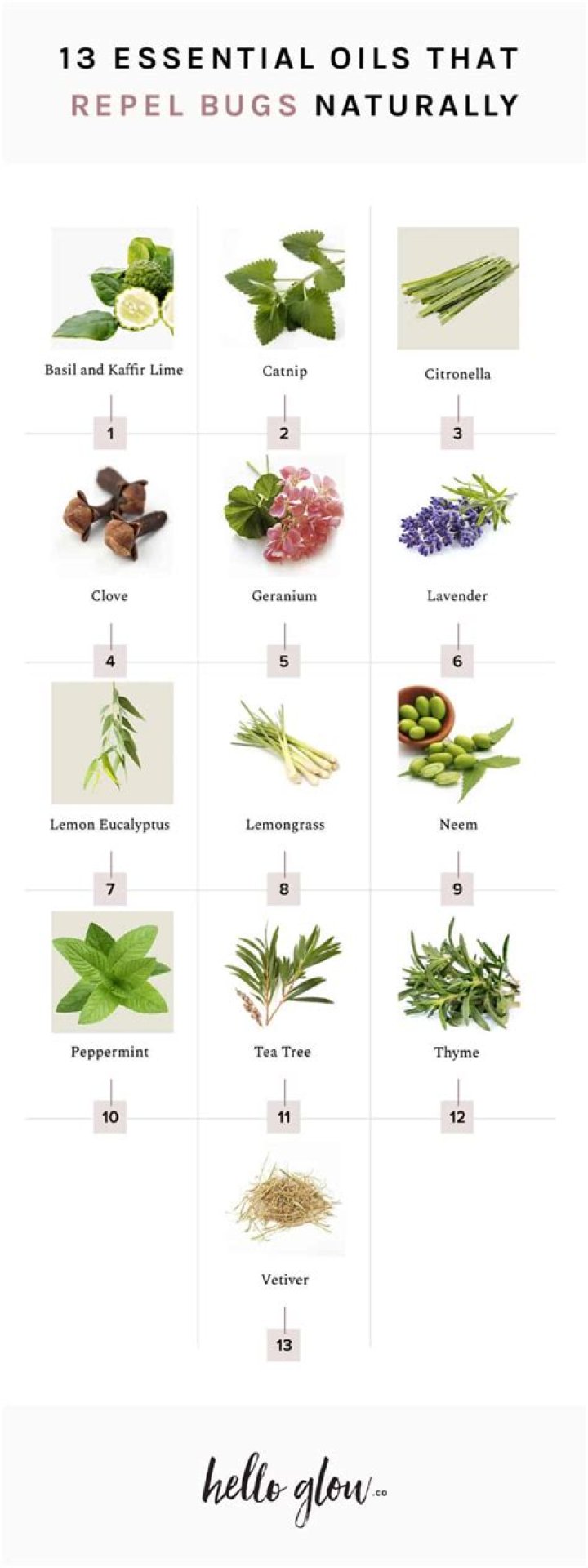 Which scents repel bugs?