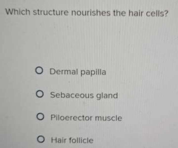 Which structure nourishes the hair cells?