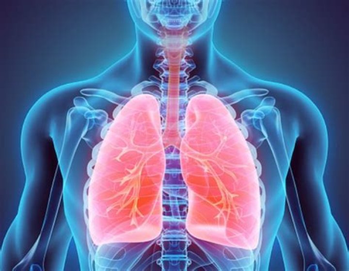 Which term describes abnormally slow breathing?