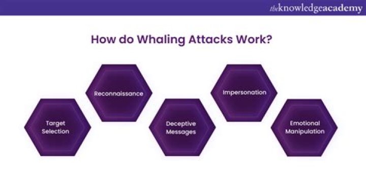 Who do whaling attacks target?
