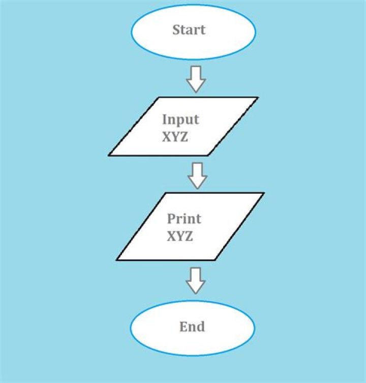 Who gave the concept of flowchart for the first time?