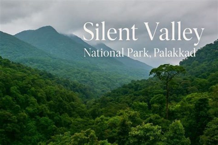 Who inaugurated silent valley national park?