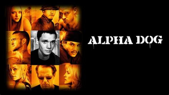Who is alpha dog about?