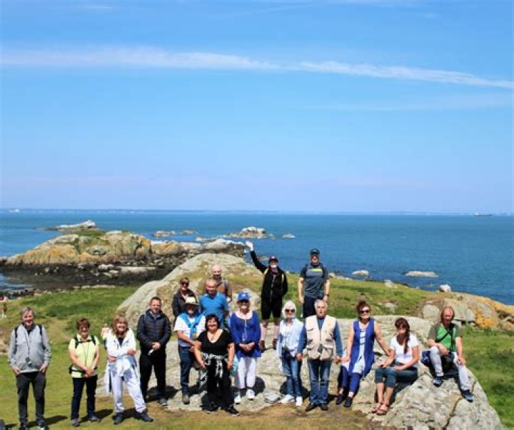 Who owns dalkey island?
