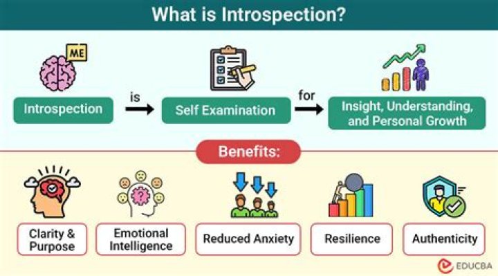 Who used introspection as a basic research tool?