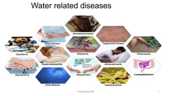 Who water borne diseases?