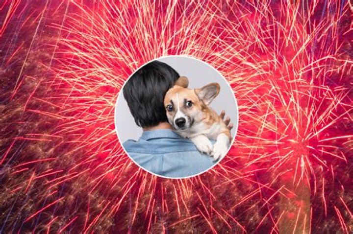 Why are dogs scared of fireworks?