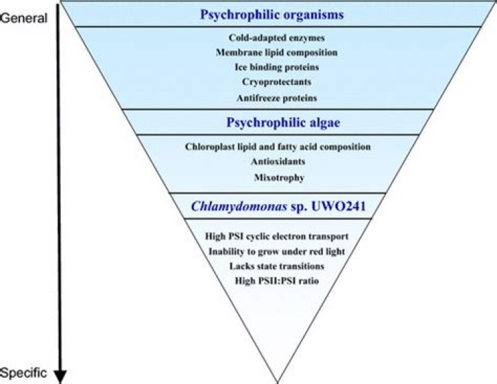 Why are psychrophilic organisms important?