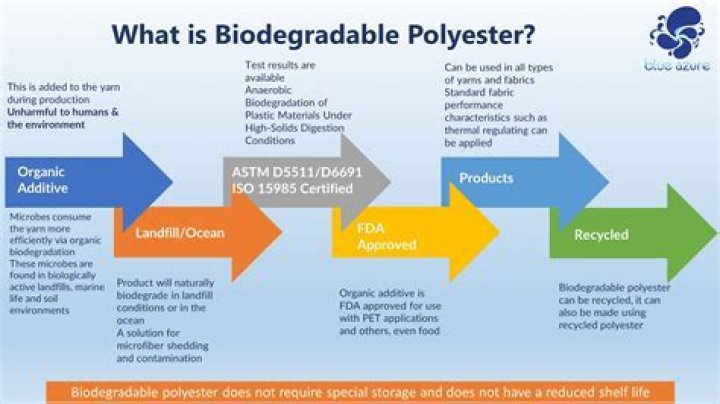 Why can't polyesters biodegrade?