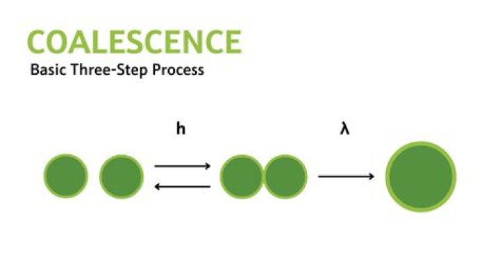 Why collision coalescence process?