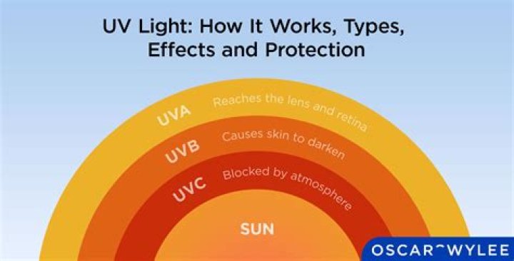 Why do butchers use uv light?