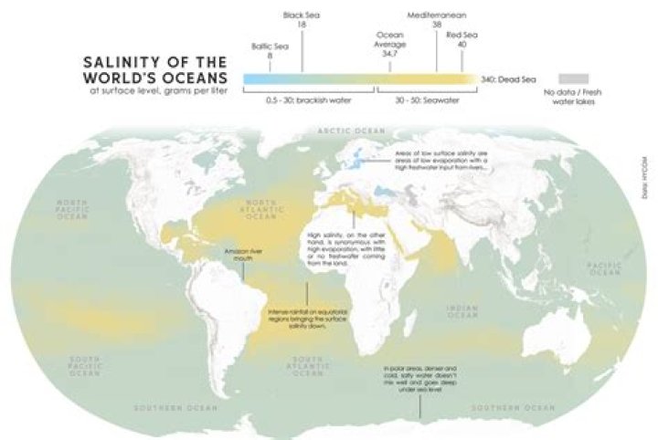 Why do oceans have different salinities?