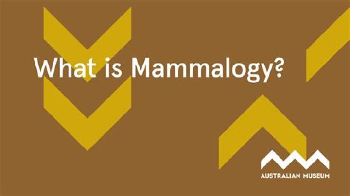 Why is mammalogy important?