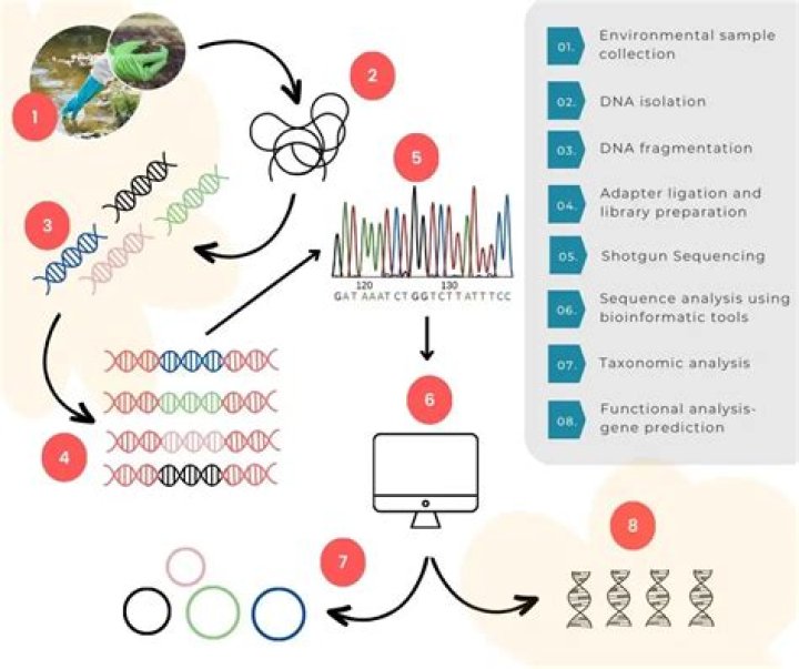 Why is metagenomics the most revolutionary application of genomics?