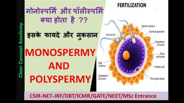 Why is monospermy important?