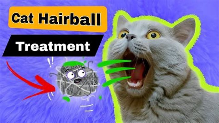 Why is my cat suddenly having hairballs?