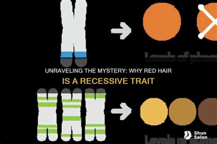 Why is red hair recessive?