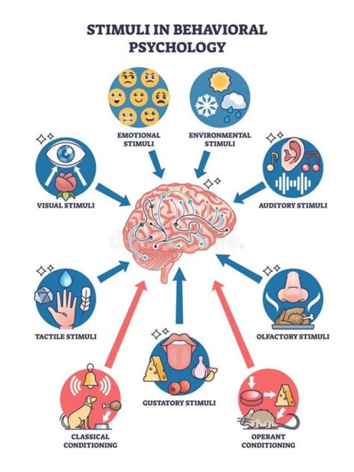 Why is tactile stimuli the fastest?
