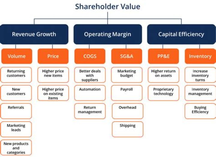 Why maximize shareholder value?