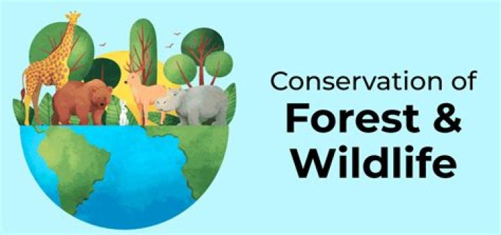 Why should we conserve forests and wildlife?