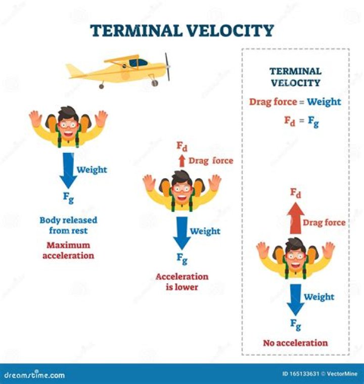 Why speed is terminal velocity?
