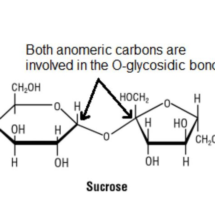 Why sucrose does not show mutarotation?