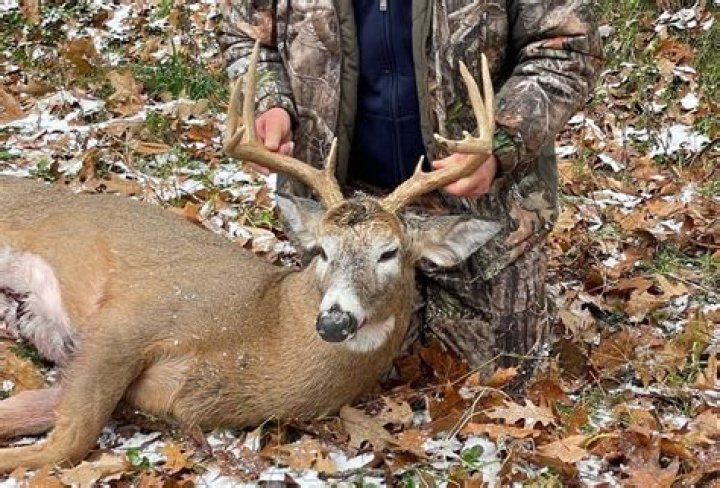 Why trophy hunting is wrong?