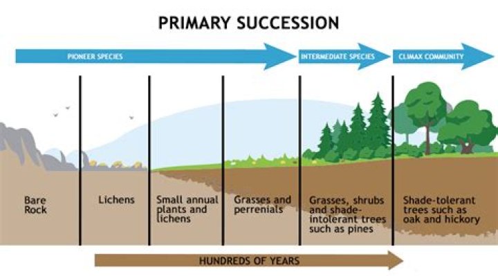 Will a partnership have perpetual succession?