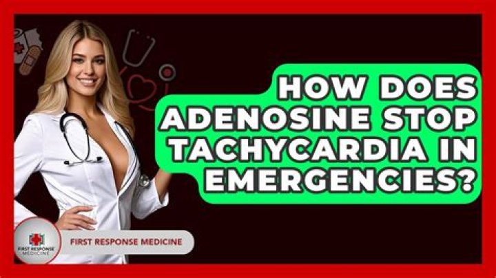 Will adenosine stop your heart?