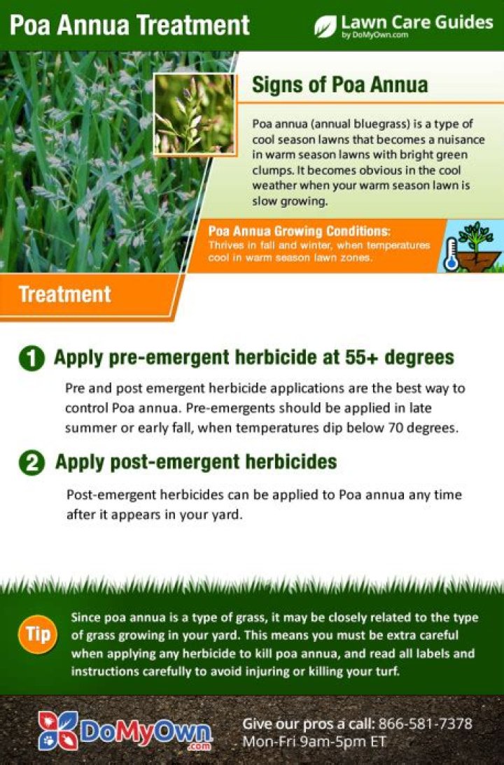 Will celsius kill poa annua?