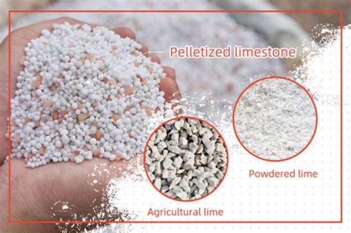 Will pelletized lime hurt horses?