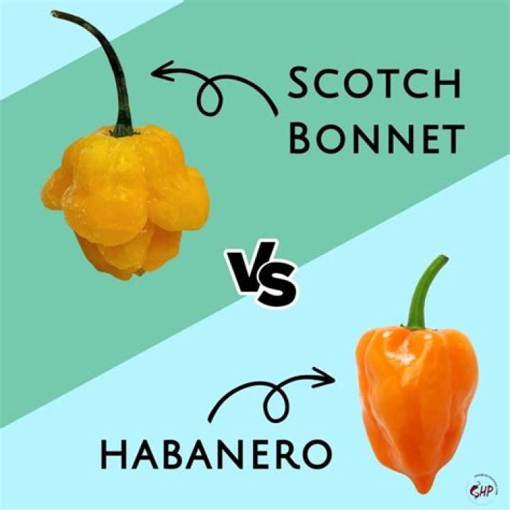 Will scotch bonnets ripen off the vine?